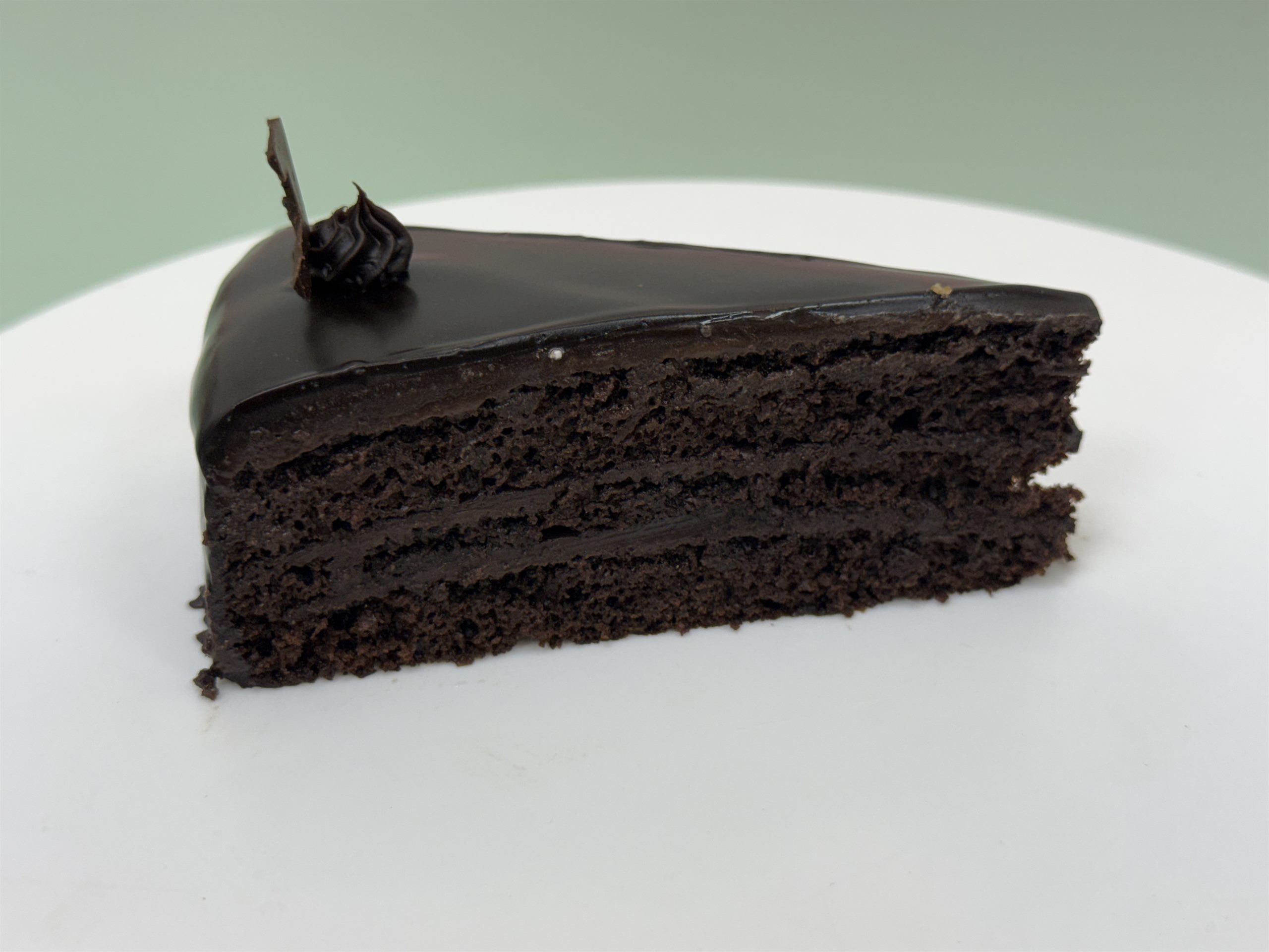 A premium chocolate pastry slice
